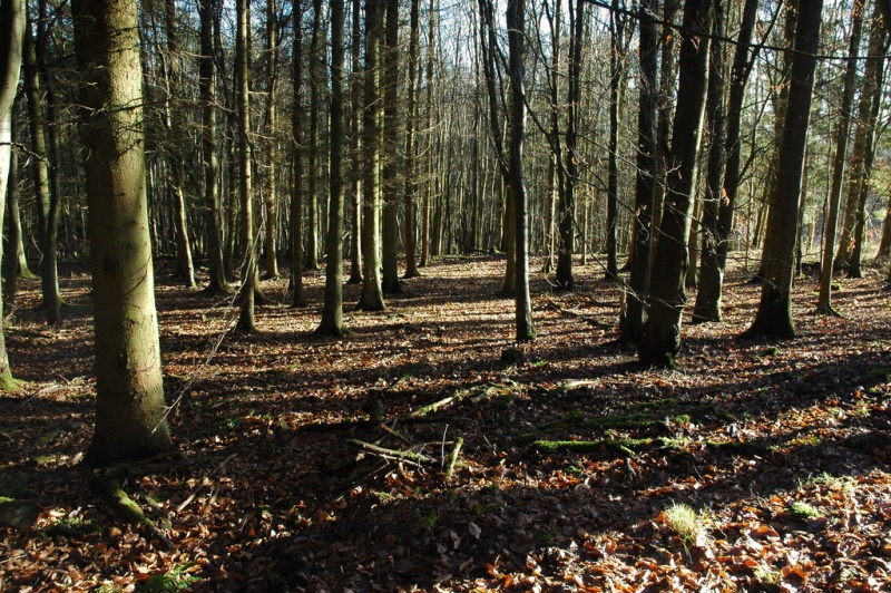 Click for full size image of Credenhill Camp (PID:78045) Credenhill Camp