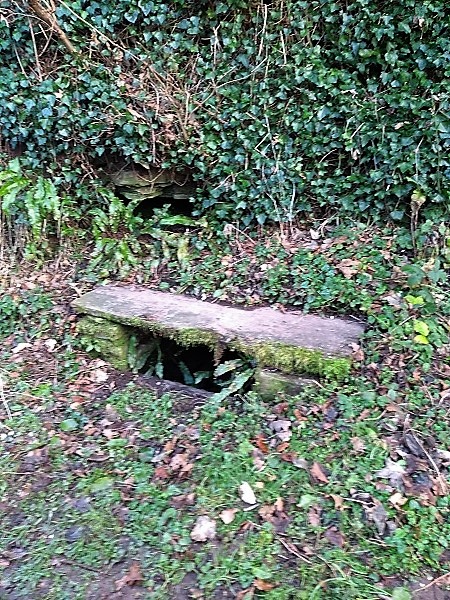 St. Clodock's Well (PID:191284) St. Clodock's Well