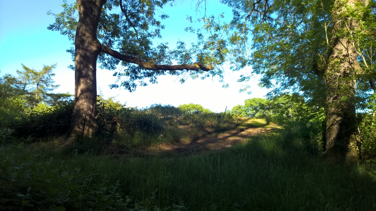 Click for full size image of Midsummer Hill (PID:213162) Midsummer Hill