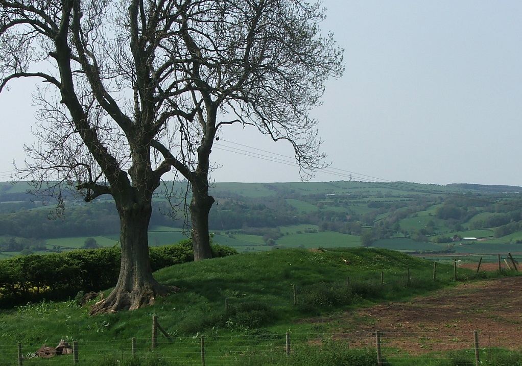 Great Llanavon Farm