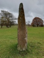 Click for full size image of Wern Derys (PID:190957) Wern Derys