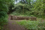 Higgin's Well