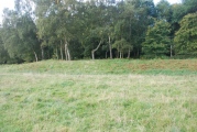 Bircher Common