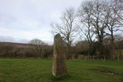 Click for full size image of Wern Derys (PID:263329) Wern Derys