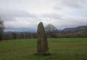 Click for full size image of Wern Derys (PID:263331) Wern Derys