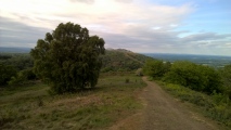 Click for full size image of Midsummer Hill (PID:211762) Midsummer Hill