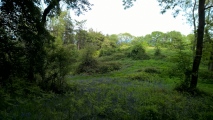 Click for full size image of Midsummer Hill (PID:211767) Midsummer Hill