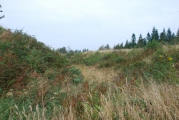 Click for full size image of Wapley Camp (PID:42829) Wapley Camp
