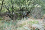 Click for full size image of Wapley Camp (PID:42830) Wapley Camp