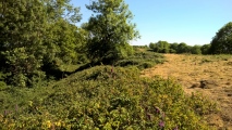 Click for full size image of Midsummer Hill (PID:213156) Midsummer Hill