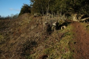 Click for full size image of Credenhill Camp (PID:78042) Credenhill Camp