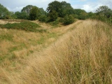 Click for full size image of Croft Ambrey (PID:144233) Croft Ambrey