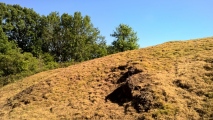 Click for full size image of Midsummer Hill (PID:213154) Midsummer Hill