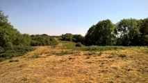 Click for full size image of Midsummer Hill (PID:213153) Midsummer Hill