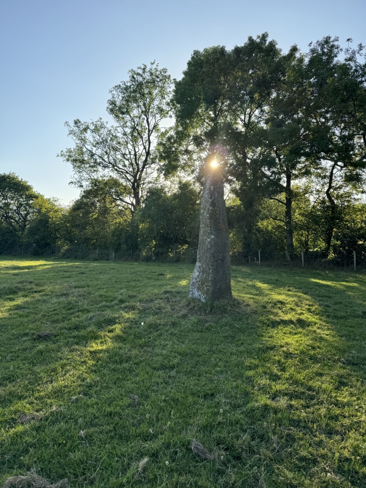 Click for full size image of Wern Derys (PID:275745) Wern Derys
