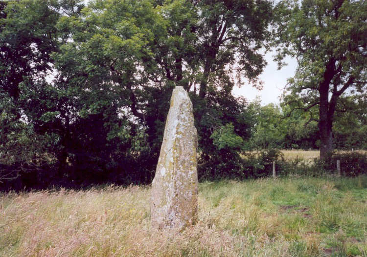 Click for full size image of Wern Derys (PID:40798) Wern Derys