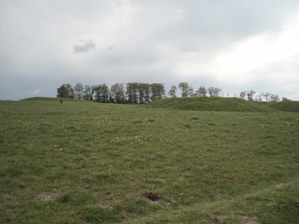 Click for full size image of Therfield Heath Five Hills (PID:130534) Therfield Heath Five Hills