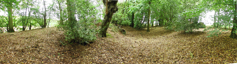 Click for full size image of Perry's Grove Boundary Ditch (PID:167471) Perry's Grove Boundary Ditch