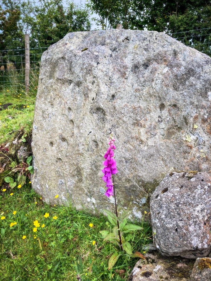 Little Langdale Cup-Marked Stone