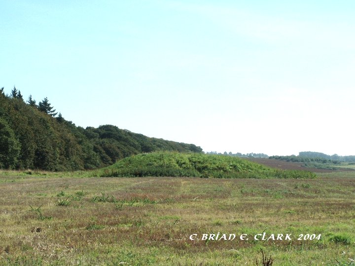 Harpley Common Barrow Cemetery