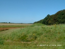 Harpley Common Barrow Cemetery - PID:9396