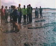 Seahenge Webcam 20 - PID:60