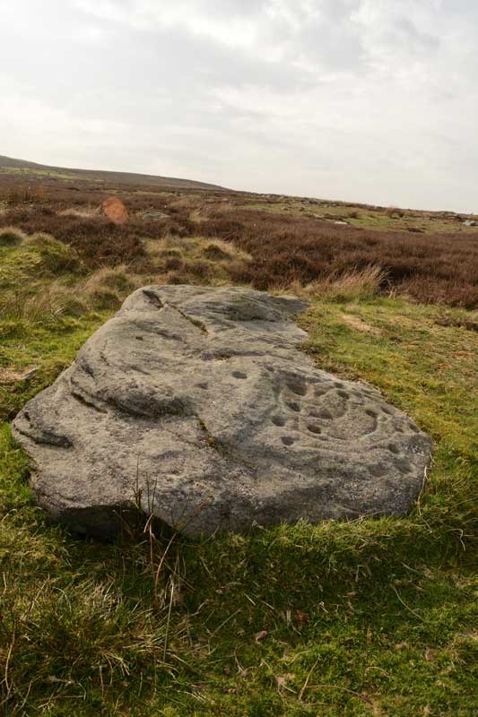 Looking west towards Askwith Moor.  We had a hunt amongst other stones on this hillside to see if there were other motifs visible on other stones, but drew a blank.