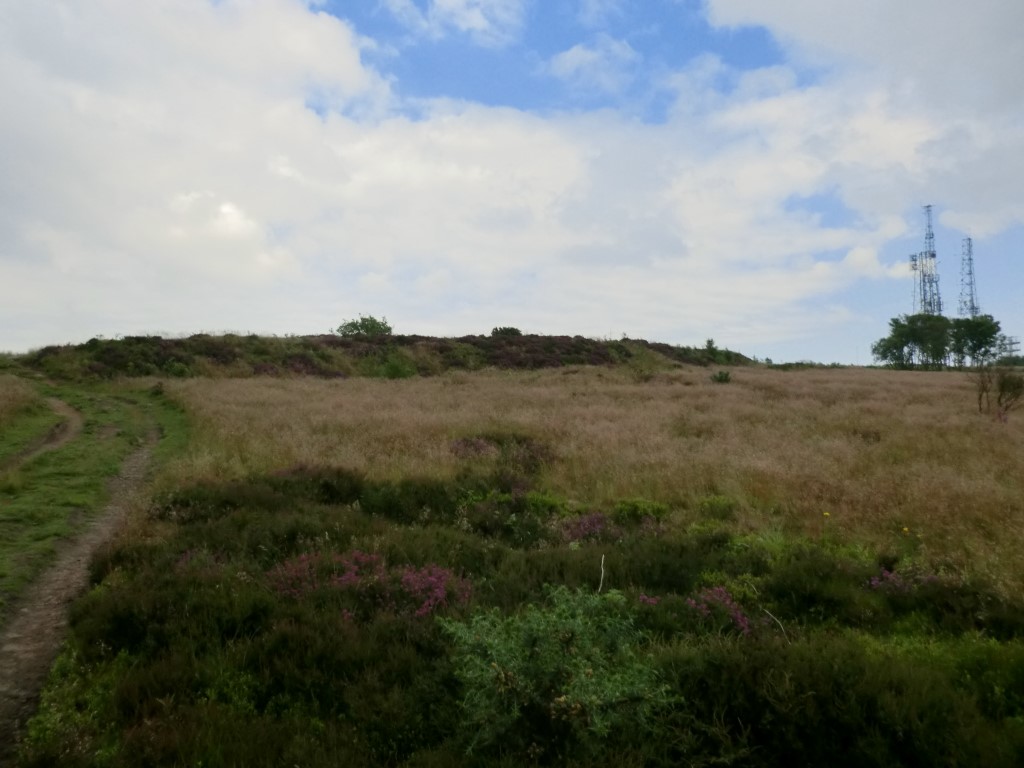As you approach the Hill Fort from the South West the rampart of the fort clearly stands out. Photo taken July 2012