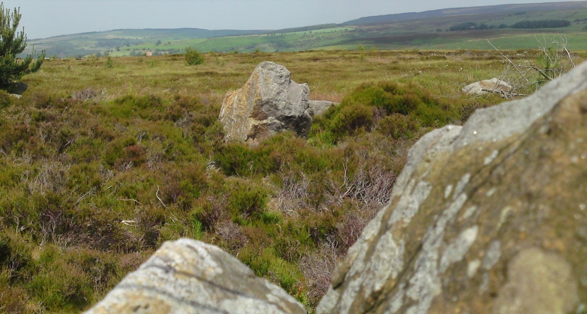 Click for full size image of Thimbleby Nine Stones (PID:251293) Thimbleby Nine Stones
