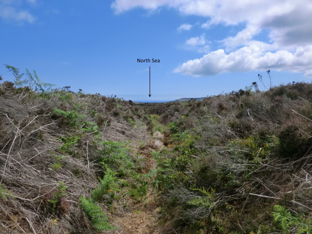 Click for full size image of Old Wife's Neck (PID:184025) Old Wife's Neck