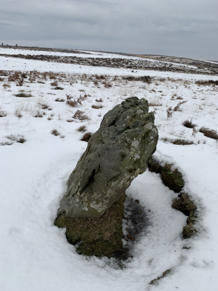Click for full size image of Ramsdale (PID:252197) Ramsdale