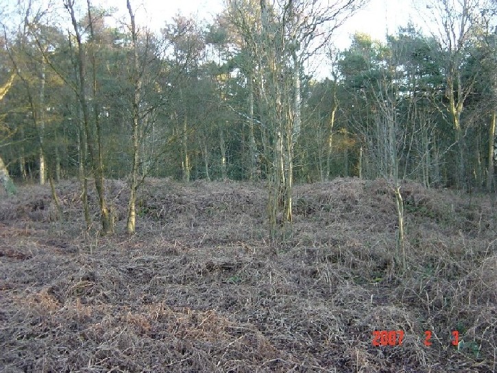 Cawthorne Banks Tumulus