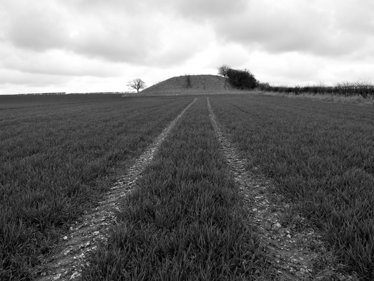 Click for full size image of Duggleby Howe (PID:206561) Duggleby Howe