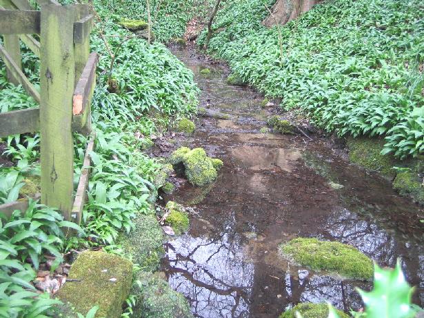 Mother Shipton's Cave and Petrifying Well