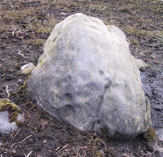 Snowden Carr, North Yorkshire SE1768651191

This rock is situated 150meters west of the Iron Age settlement area. It stands about 60cm high & has a number of shallow cup like indentations on the north facing side. The majority of these markings look natural, but the deepest 3 had a distinctly manmade feel about them. 

Not recorded by North Yorks County Council, EH or in ‘Prehistoric Rock-Ar