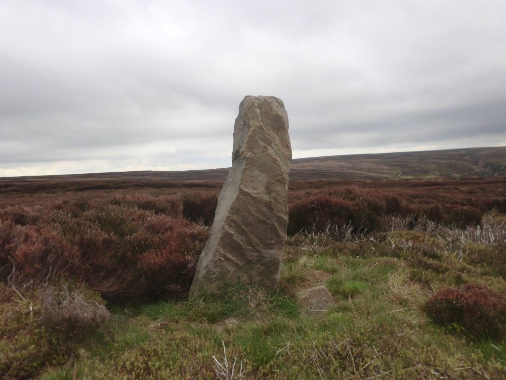 Peat Hill Marker Stone (Cock Heads)