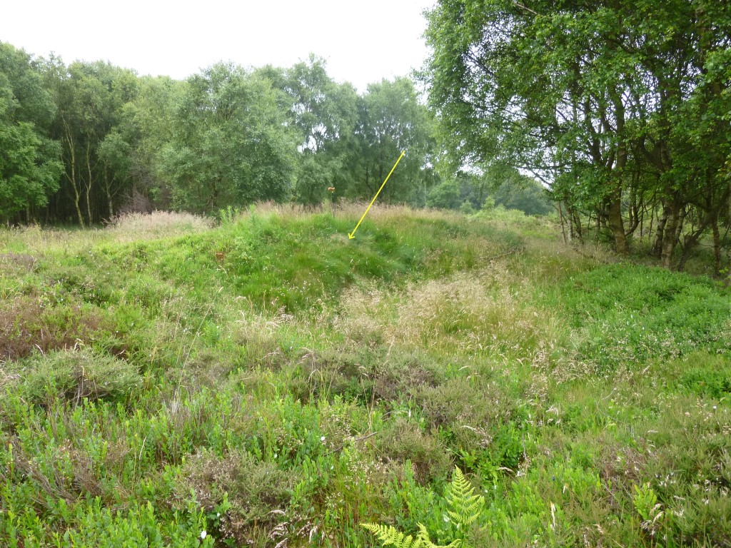 Click for full size image of Eston Moor Pond Barrow (PID:212025) Eston Moor Pond Barrow