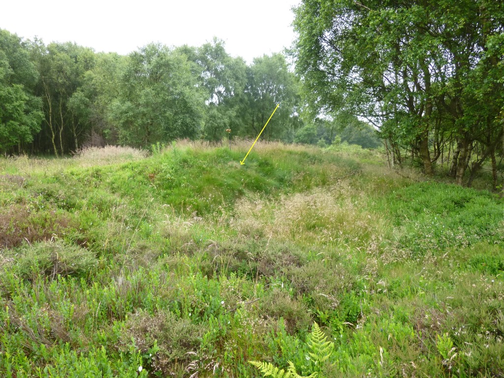 Eston Moor Pond Barrow