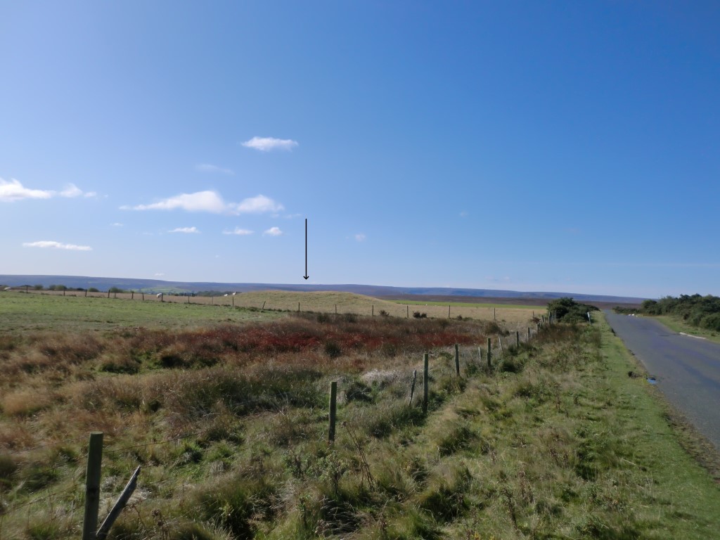 Keld Bog (Ugthorpe Moor)