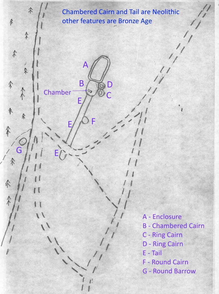 Click for full size image of Great Ayton Moor Chambered Cairn (PID:188687) Great Ayton Moor Chambered Cairn