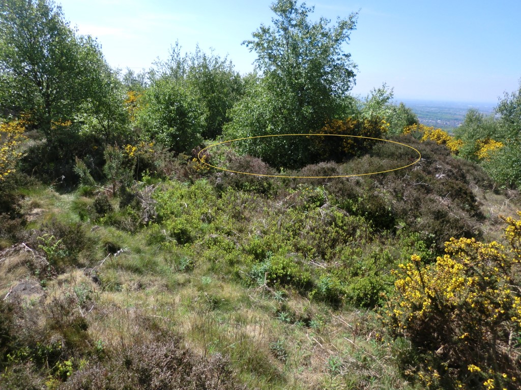Click for full size image of Eston Moor B2 (PID:212930) Eston Moor B2
