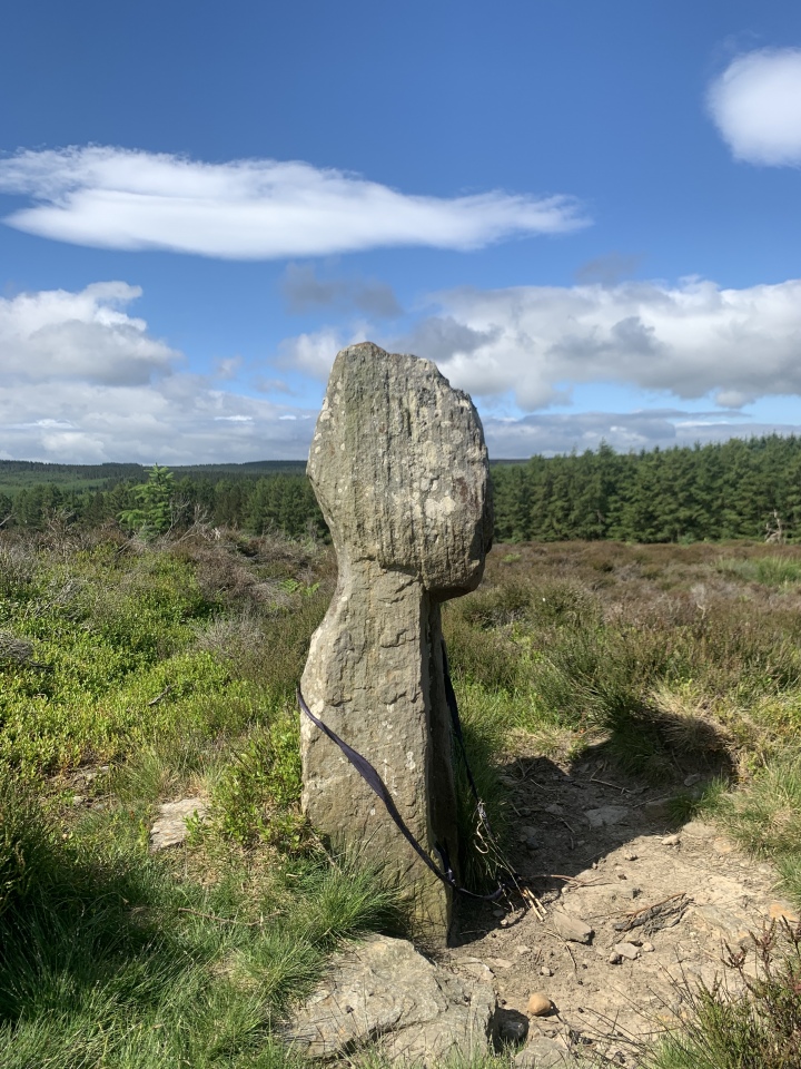 Click for full size image of Old Wife's Neck (PID:259696) Old Wife's Neck