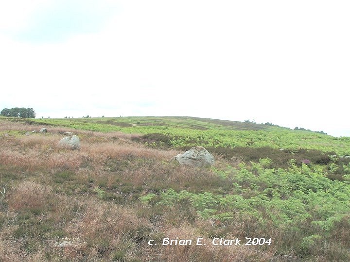 Harland Moor