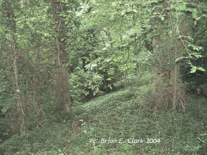 Click for full size image of Thornborough N (PID:8433) Thornborough N