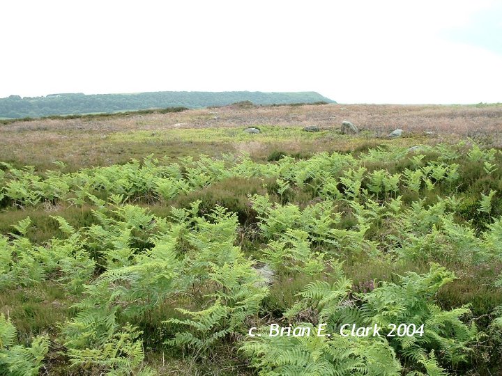 Harland Moor