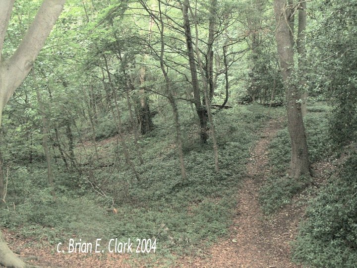Click for full size image of Thornborough N (PID:8457) Thornborough N