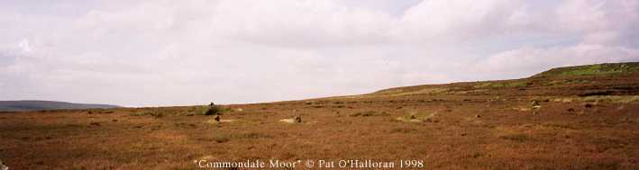 Commondale Moor Stone Circle
