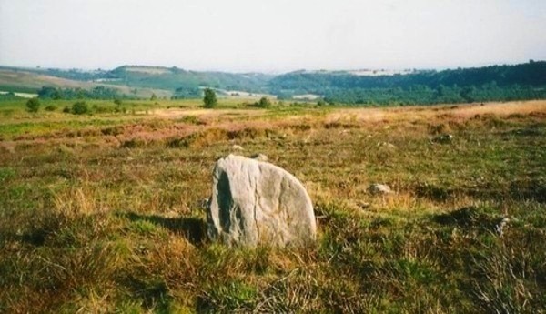 Harland Moor