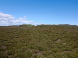 Middle Rigg round barrows and pit alignment