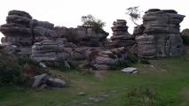 Click for full size image of Brimham Rocks (PID:230952) Brimham Rocks